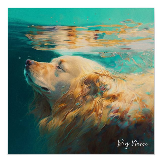 Pôster Golden Retriever dog swimming in water 004 (Frente)