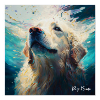 Pôster Golden Retriever dog swimming in water 005