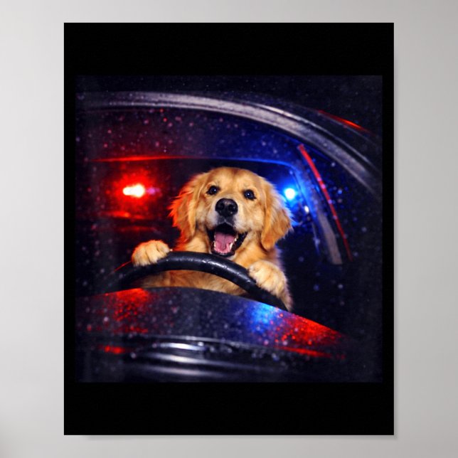 Poster Golden retriever engraçado dirigindo meme cachorro (Frente)