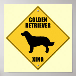 Pôster Golden retriever que cruza o sinal (XING)