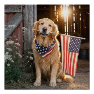 Pôster Golden Retriever segurando uma bandeira americana