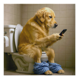 Pôster Golden Retriever Sentado no Banheiro Enviando Mens