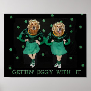 Pôster Golden retriever Stepdancers que obtem Jiggy com