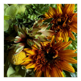 Pôster Golden Teddy Bear Sunflower & Alstroemeria Poster