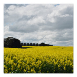 Pôster Golden Waves of Streatham