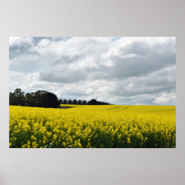 Poster Golden Waves of Streatham