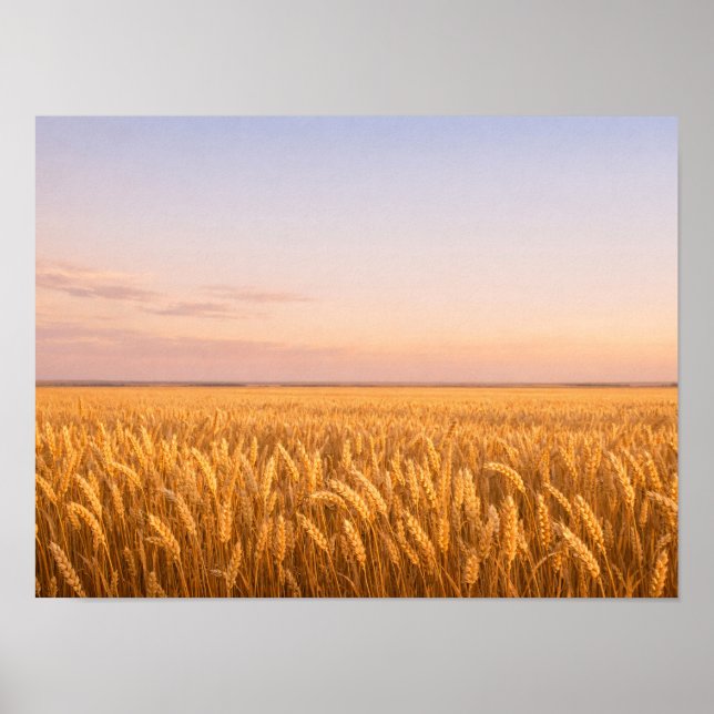 Poster Golden Wheat Field at Pastel Sunset Landscape (Frente)