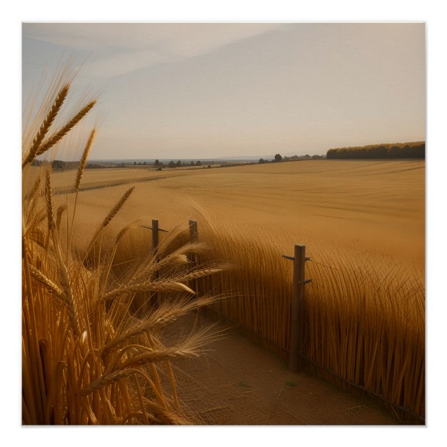Pôster Golden Wheat Path – Rustic Summer Landscape (Frente)