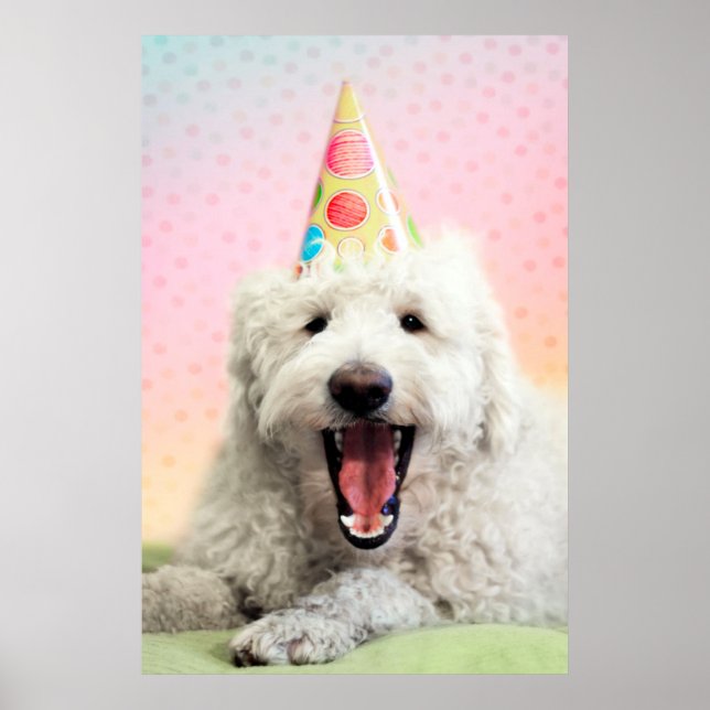 Poster Goldendoodle com chapéu de festa (Frente)