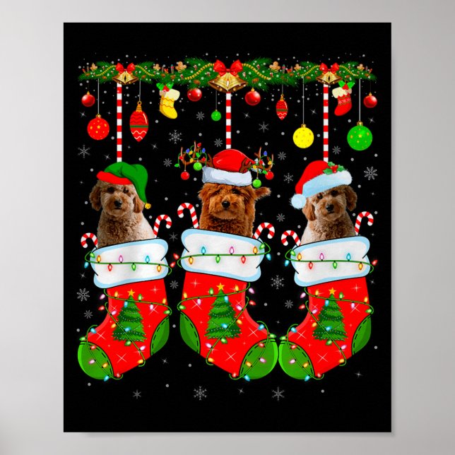 Poster Goldendoodle Dog In Christmas Socks Funny Pet Dog  (Frente)