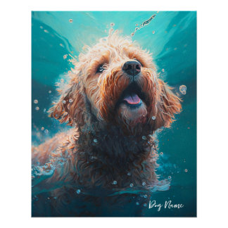 Pôster Goldendoodle dog swimming in water 008