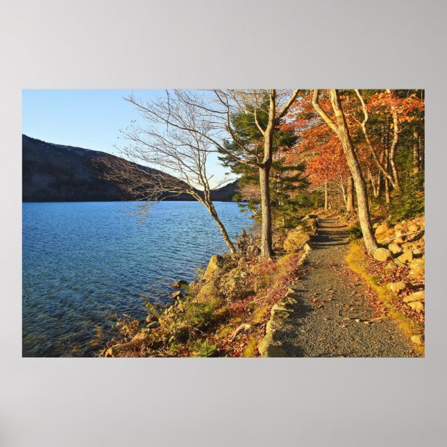 Poster Golds e Blues (Frente)