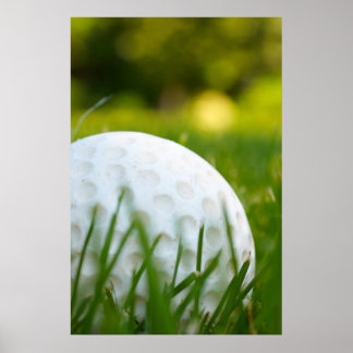 Poster Golfe