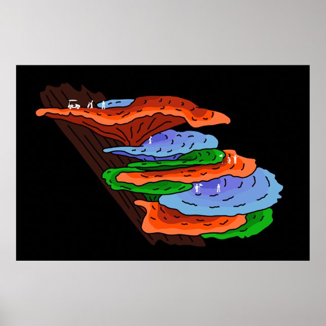 Poster Golfe em Cogumelos Prateleira (Frente)