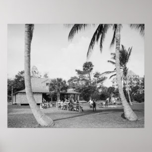 Poster Golfing in Palm Beach, 1904