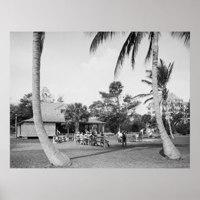 Poster Golfing in Palm Beach, 1904 (Frente)