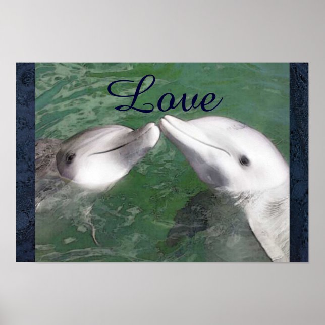 Poster Golfinho Ama Água Peixe Cachorro Marinho (Frente)