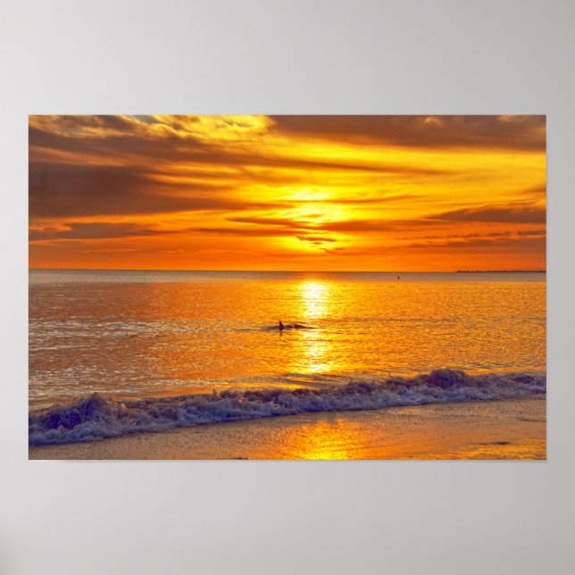 Poster Golfinho ao Pôr do Sol, Praia de Fort Myers, Flóri (Frente)