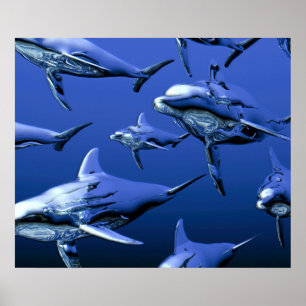 Poster Golfinho Azul