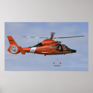 Pôster Golfinho da guarda costeira MH-65