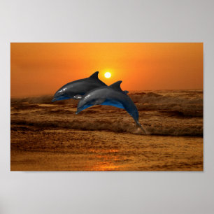 Poster Golfinho de Bottlenose no por do sol