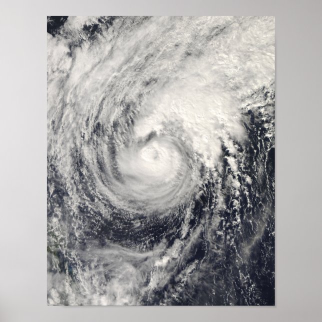 Pôster Golfinho de tufão no mar das Filipinas (Frente)