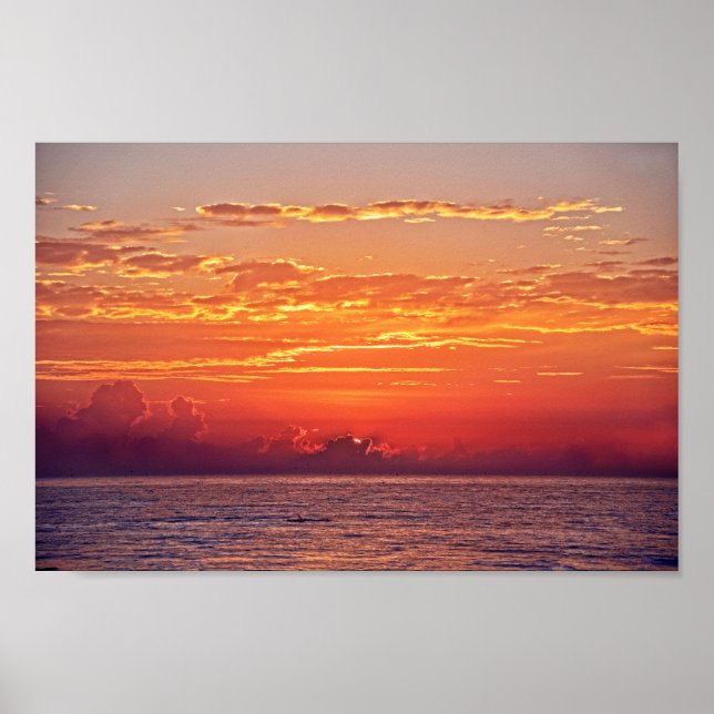 Poster Golfinho Pulando no Sol (Frente)