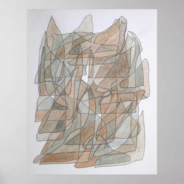 Poster Golfinho Voador (Frente)