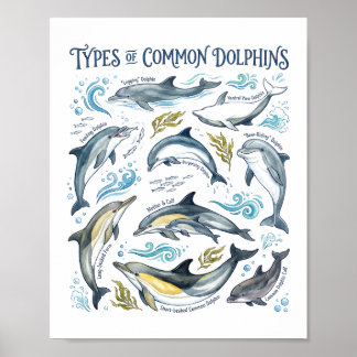 Poster Golfinhos Comuns Aquarela Arte de Vida Selvagem Oc