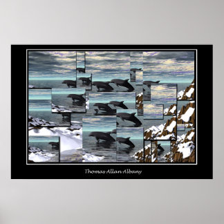 Pôster Golfinhos De Gelo