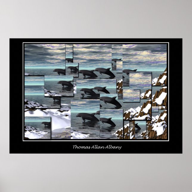 Pôster Golfinhos De Gelo (Frente)