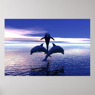 Poster Golfinhos de manhã cedo