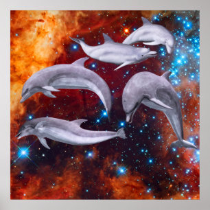 Poster Golfinhos Estrelas