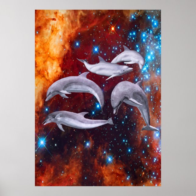 Poster Golfinhos Estrelas (Frente)