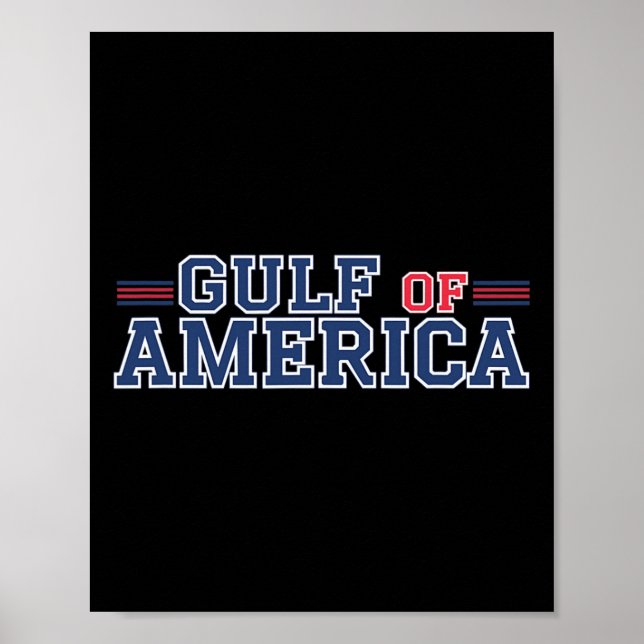 Poster Golfo Da América Dos Eua Funny Golfo Do México 4 D (Frente)