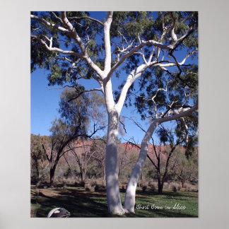 Pôster Goma Fantasma em Alice