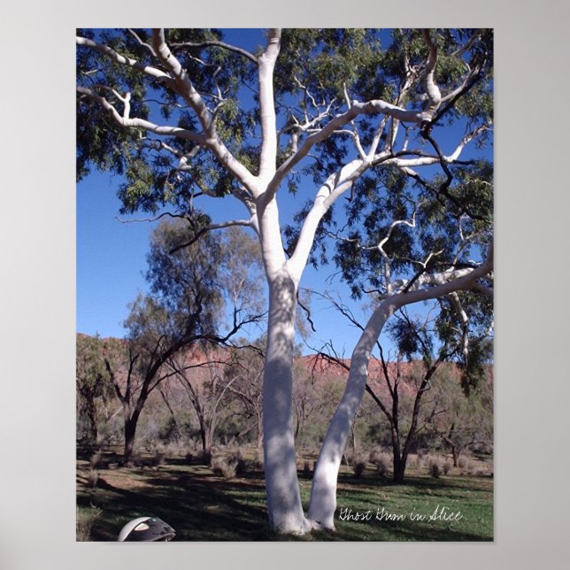 Pôster Goma Fantasma em Alice (Frente)