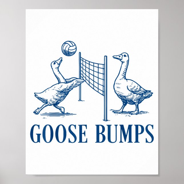 Poster Goose Bumps Volleyball  (Frente)