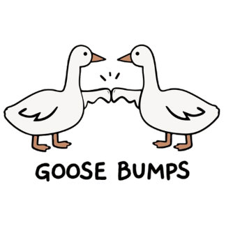 Poster Goose pumps