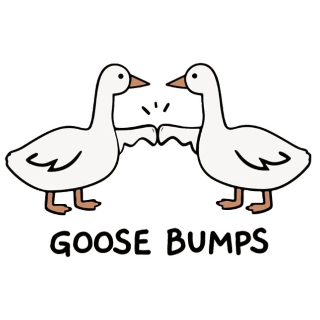 Poster Goose pumps  (Criador carregado)