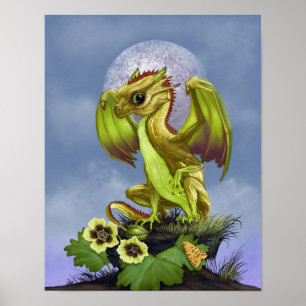 Pôster Gooseberry Dragon 11x14 (4x6 and up)
