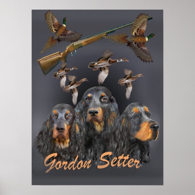 Pôster Gordon Setter caçou trio (Frente)