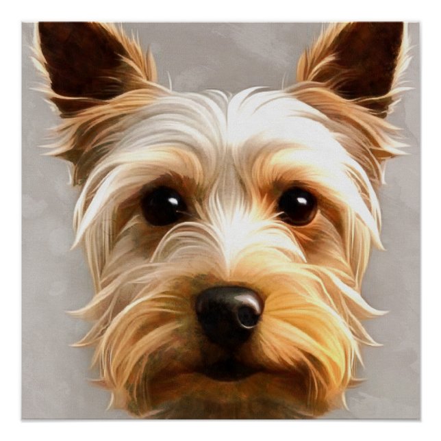Pôster Gorgeous Cute Yorkshire Terrier Puppy Floating (Frente)