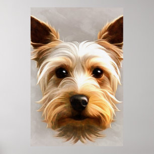 Poster Gorgeous Cute Yorkshire Terrier Puppy Floating