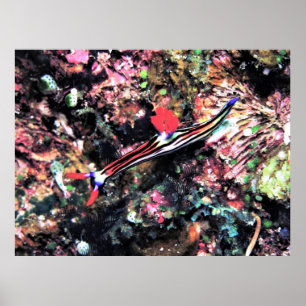 Poster Gorgeous Nudi