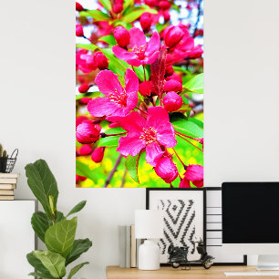 Poster Gorgeous Red Barron Crabapple Foto