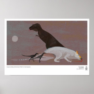 Poster Gorgosaurus que come um Edmontosaurus