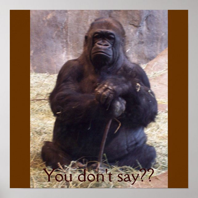 Poster Gorila (Frente)