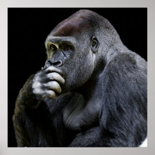Poster Gorila