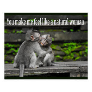 Pôster Gorila engraçado Nemes do macaco do macaco com